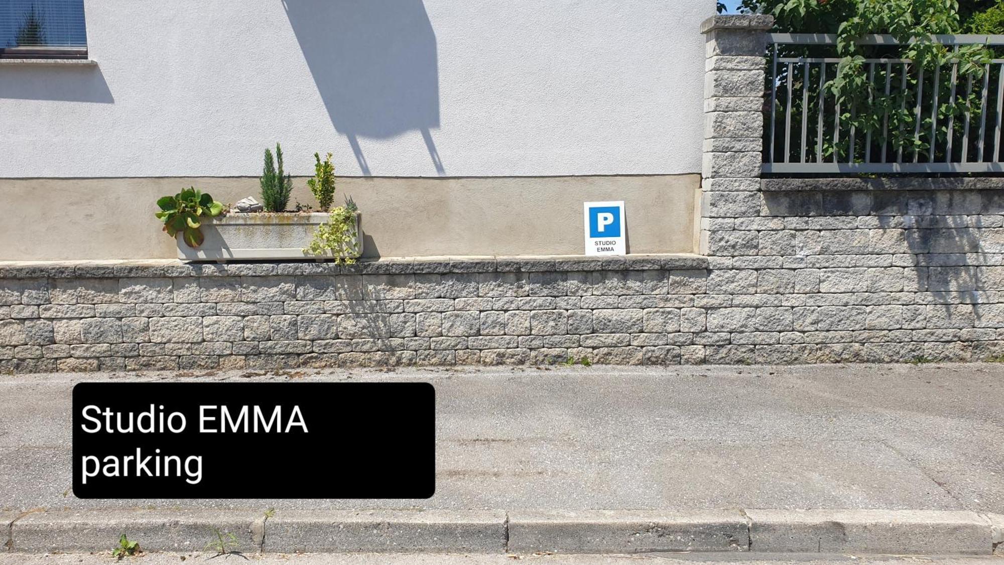 Studio Emma Ljubljana - Free Parking, Ac, Wifi Exterior foto